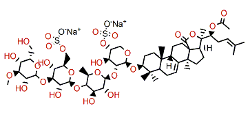 Typicoside C2